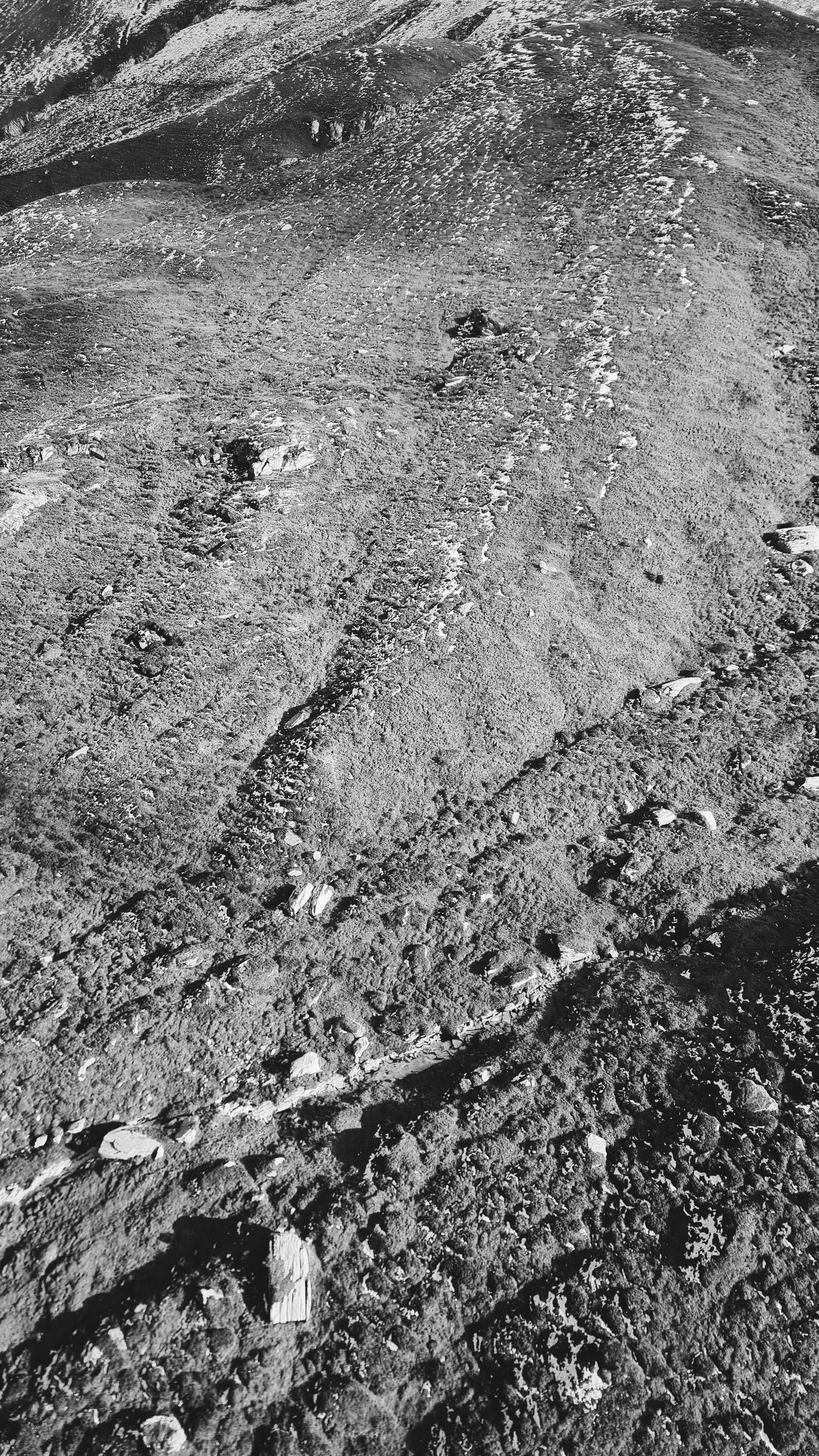 20220920_165441.jpg