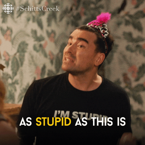 David from Schitt's Creek says "As stupid as this is, I'm now invested"