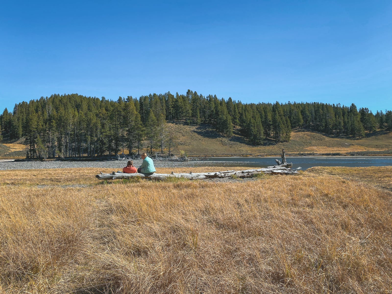 picnic-area.jpg