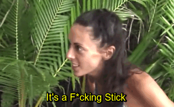 A person in the jungle saying "it's a fucking stick"