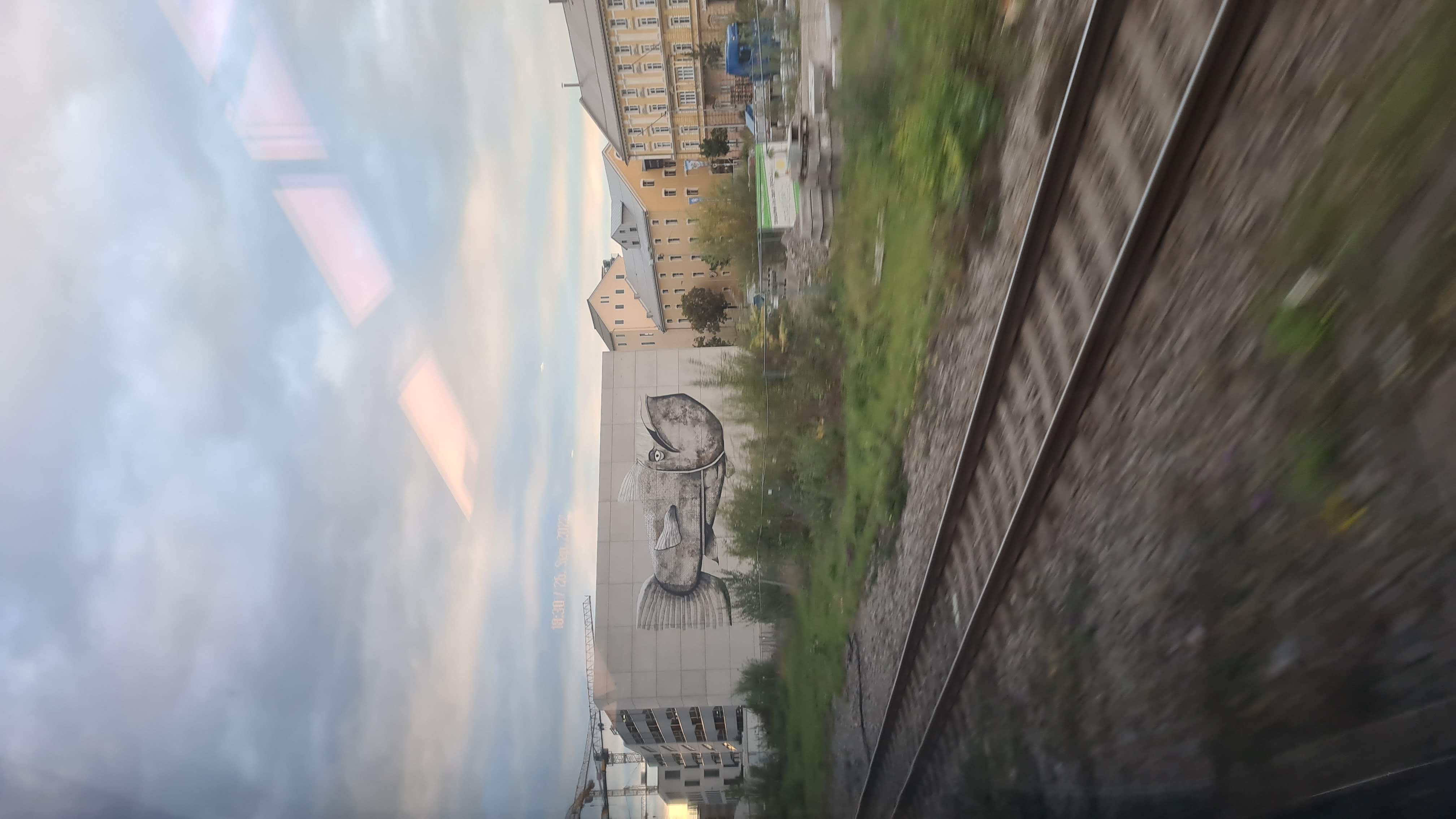 20220926_183001.jpg