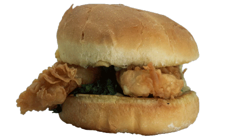 🤪 Wacky Wednesday for 2024-12-25