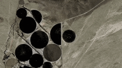 GIF optimizer en compressor.gif