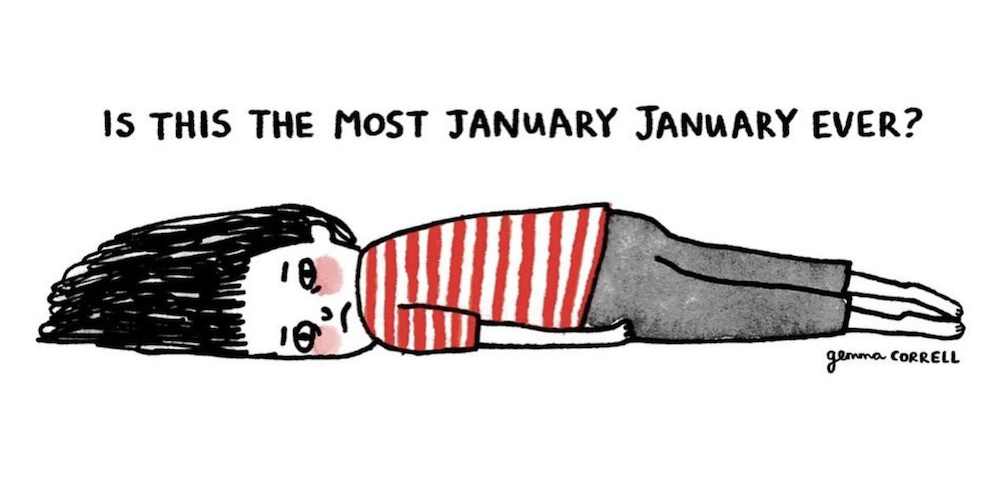 Bird by Bird: It isn't ever delicate to live.