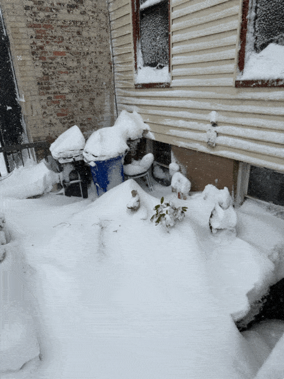 a gif showing me dig out a tree