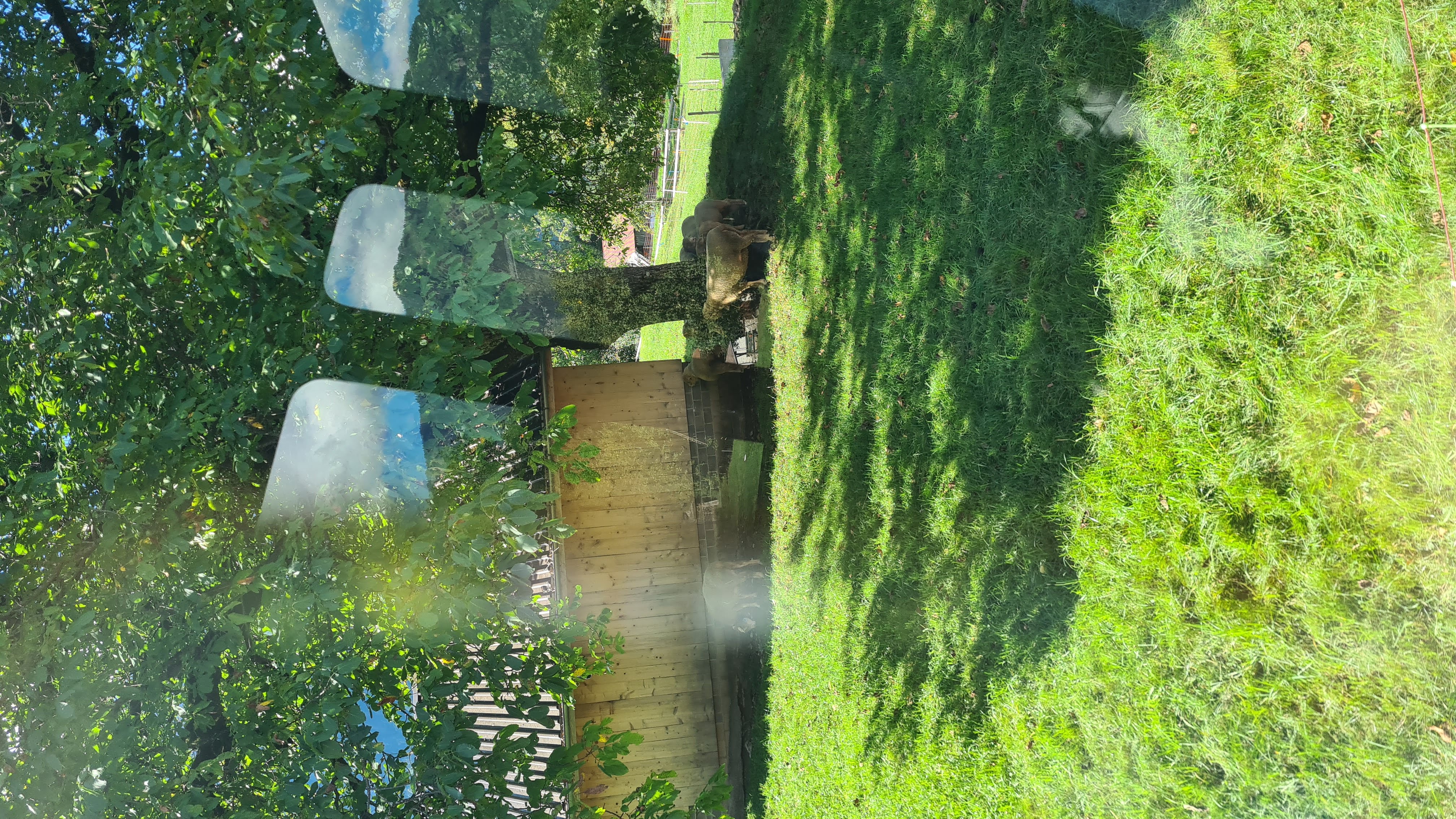 20220919_113348.jpg