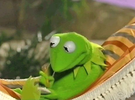 gif of Kermit writing with a pencil in a hammock