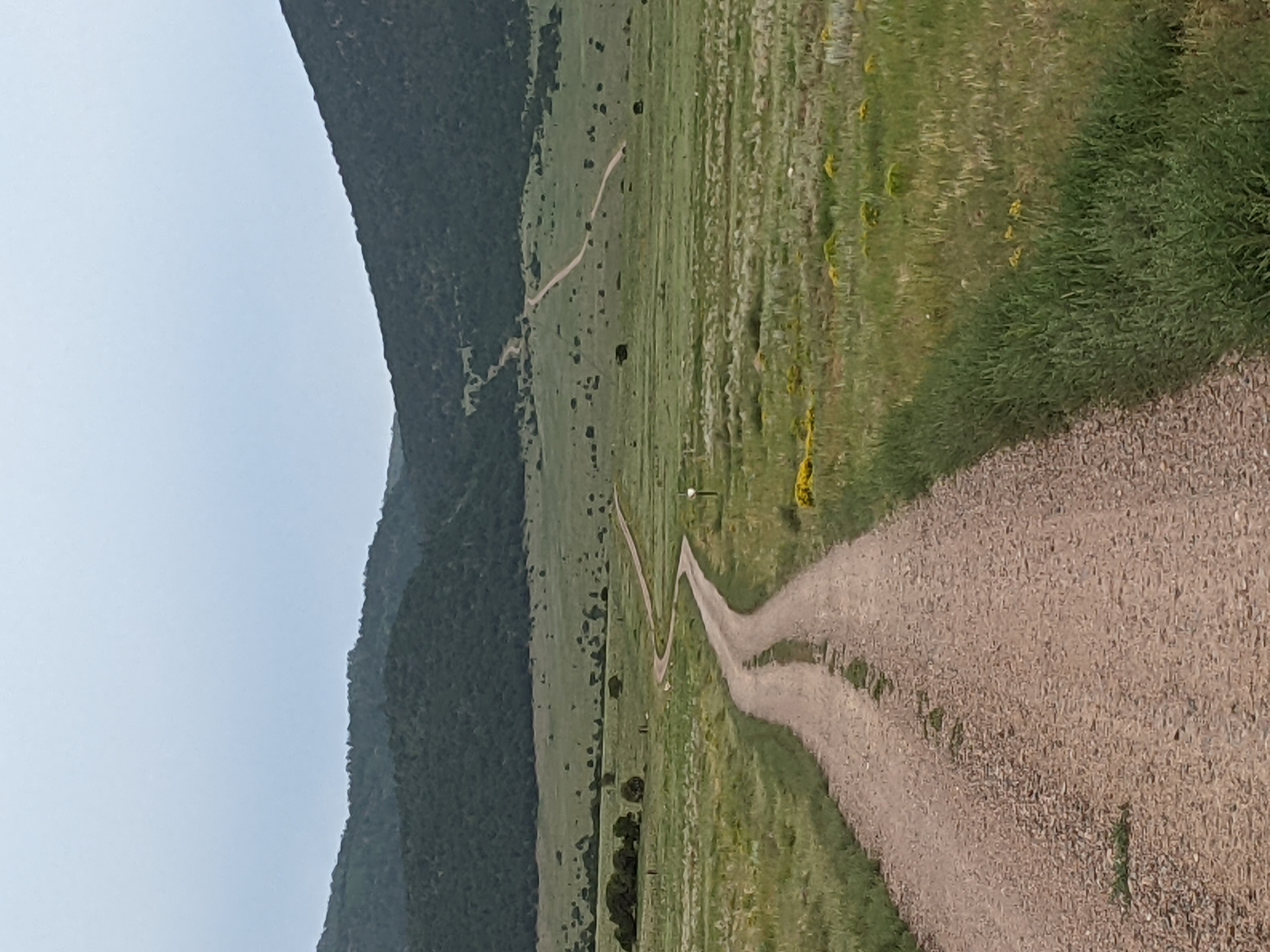 PXL_20210810_142054067.jpg